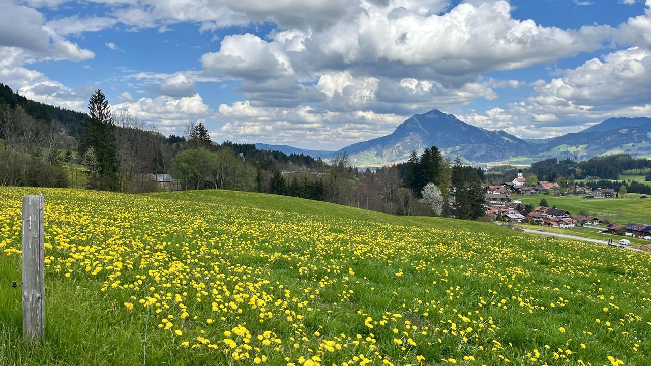 Blick nach Ofterschwang Blick nach Ofterschwang
